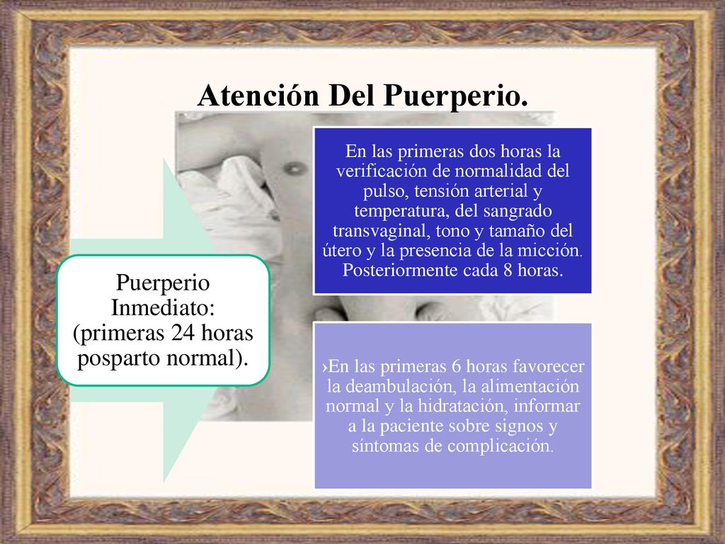 Alimentacion en el puerperio ppt